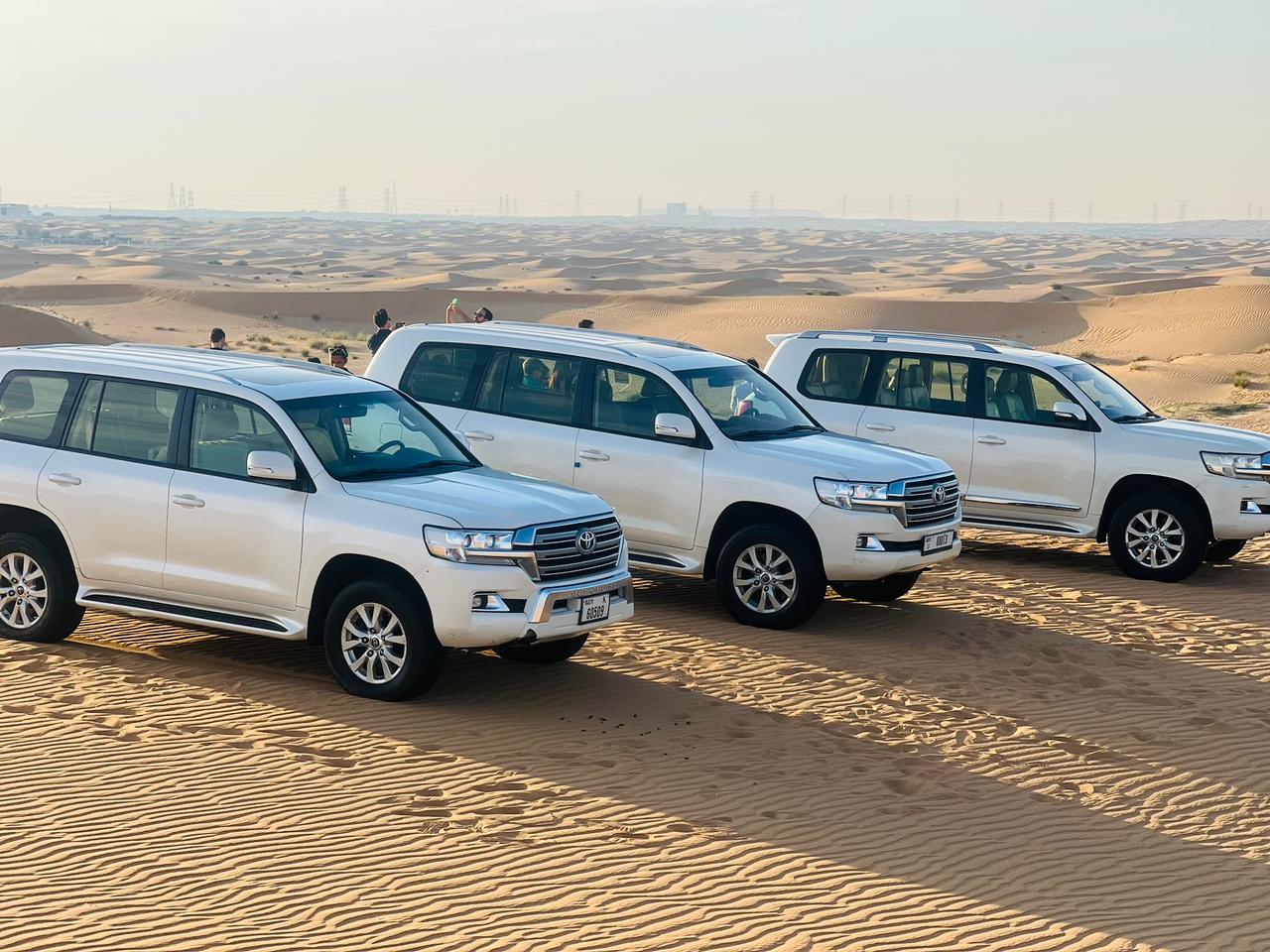 Morning Dune Drive
